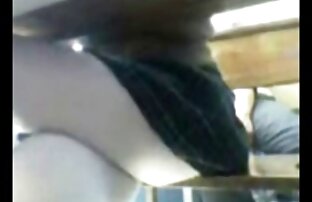 sexo xxx Afeitado en la cabeza chanchos follando dp