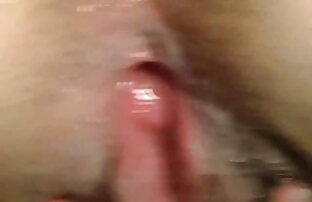 sexo xxx XXX diversión en el hotel www videos de cerdas resort